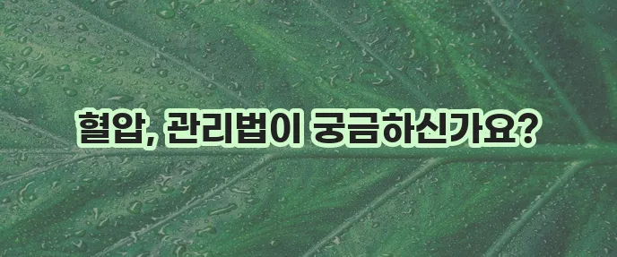 고혈압 주요 증상과 좋은 음식 나쁜 음식 확실히 알아두세요!