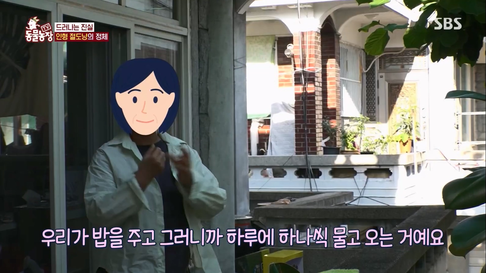 TV 동물농장.E1127.230702p.H264-F1RST.mp4_20230704_212706.481.jpg