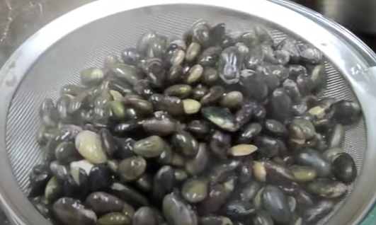 서리태 검은콩으로 두유 만들기 검은콩 영양성분 칼로리 효과 다이어트에 좋은 검은콩