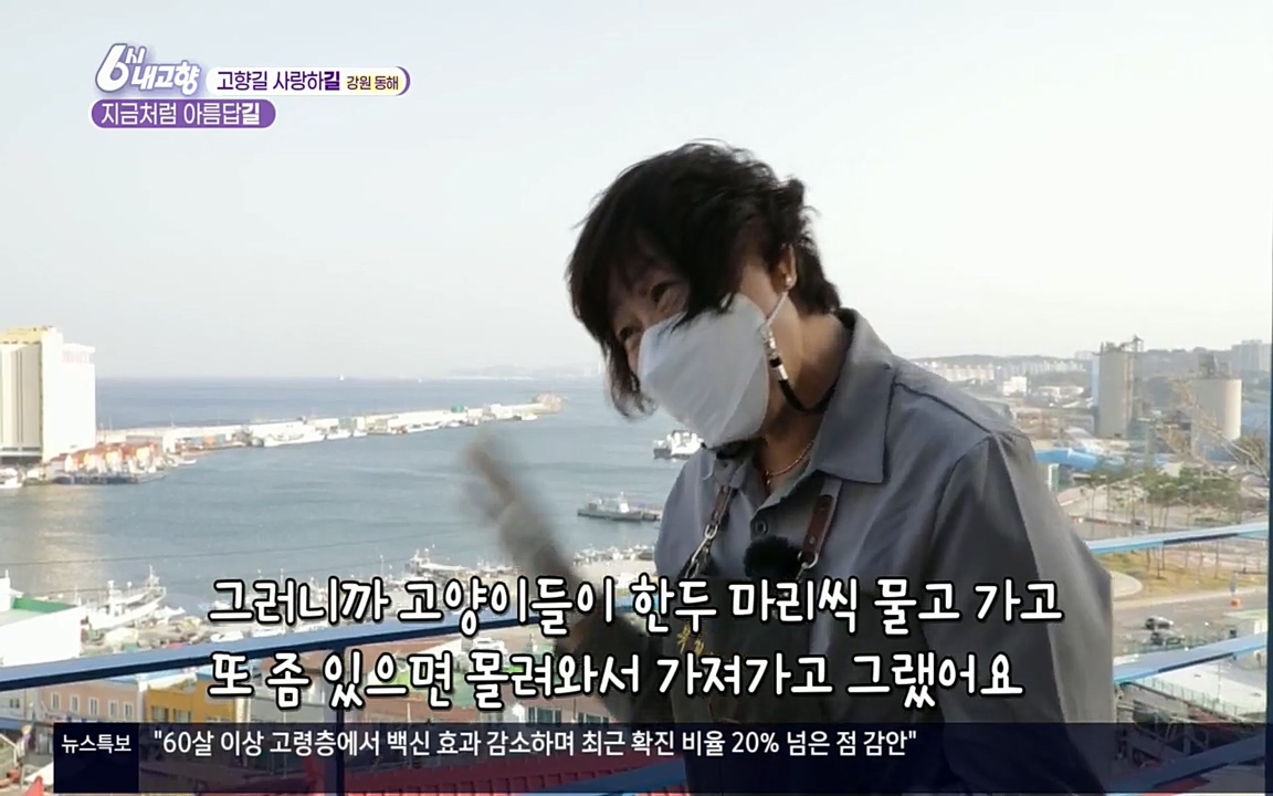 6시 내고향.E7512.220416p.H264-F1RST.mp4_20220502_192437.603.jpg
