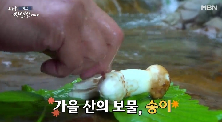 나는자연인이다-돌고돌아마침내당신-자연인-김재현조지혜