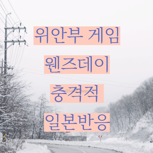  위안부 게임 웬즈데이 유저 반응(+충격적인 일본 네티즌 태도)