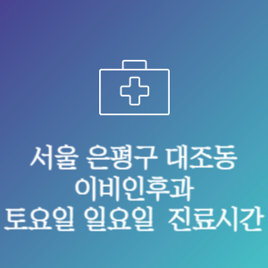 서울 은평구 대조동 이비인후과 주말 토요일 일요일 문여는 병원 진료시간