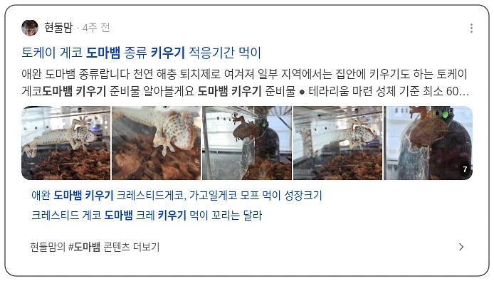 도마뱀 키우기_3_subsection