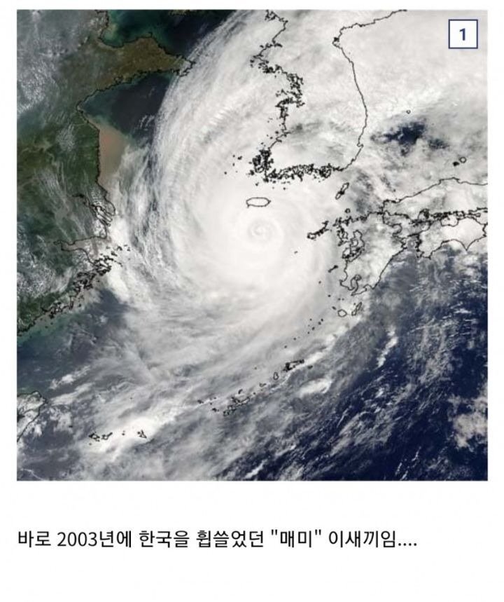  한국에서 가장 강력했던 태풍
