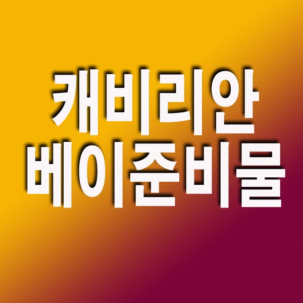  캐리비안 베이 준비물, 주차장, 가격 총정리