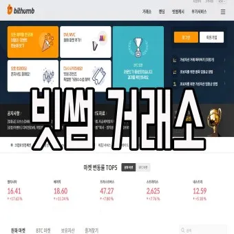 코안마켓캡 분석_16