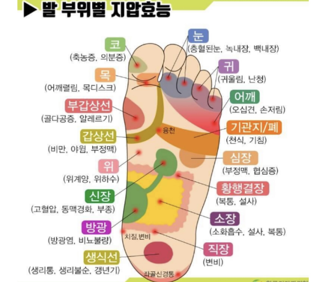  발바닥 지압점 발바닥 혈자리 발지압 효과 알아보기