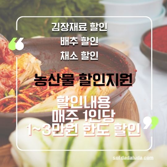 김장 재료 할인 채소 할인 배추