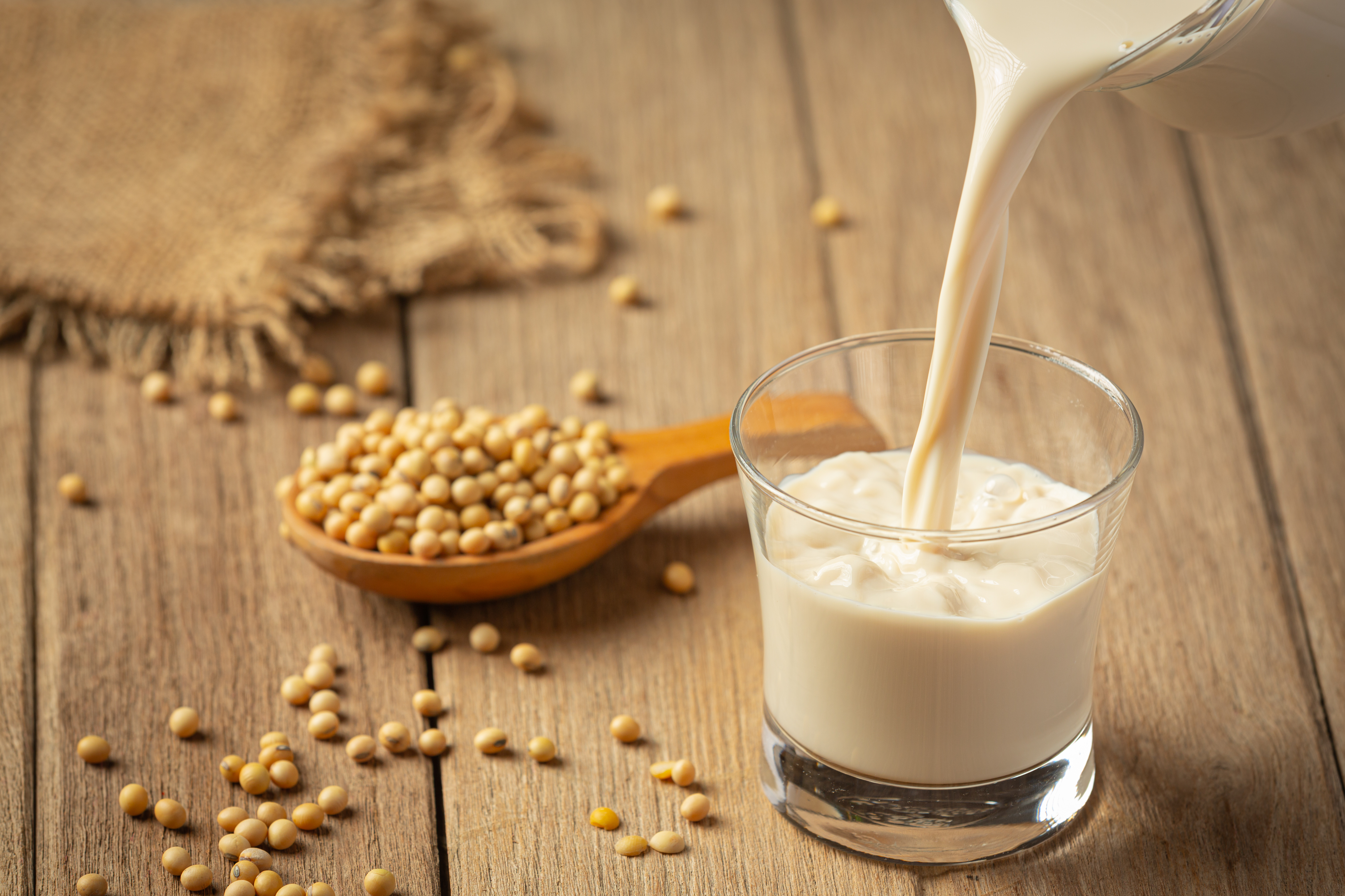 soy-milk-soy-food-beverage-products-food-nutrition-concept