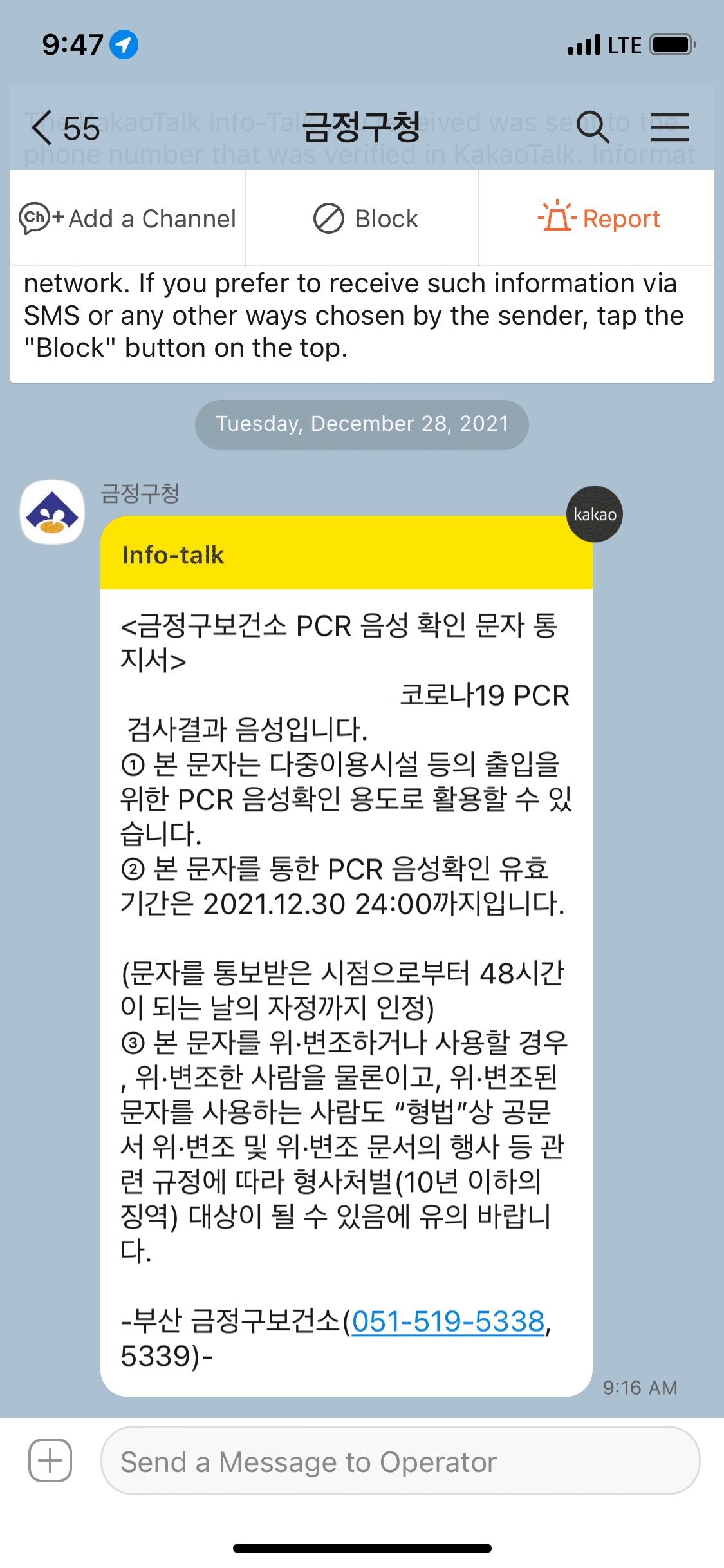 사진8