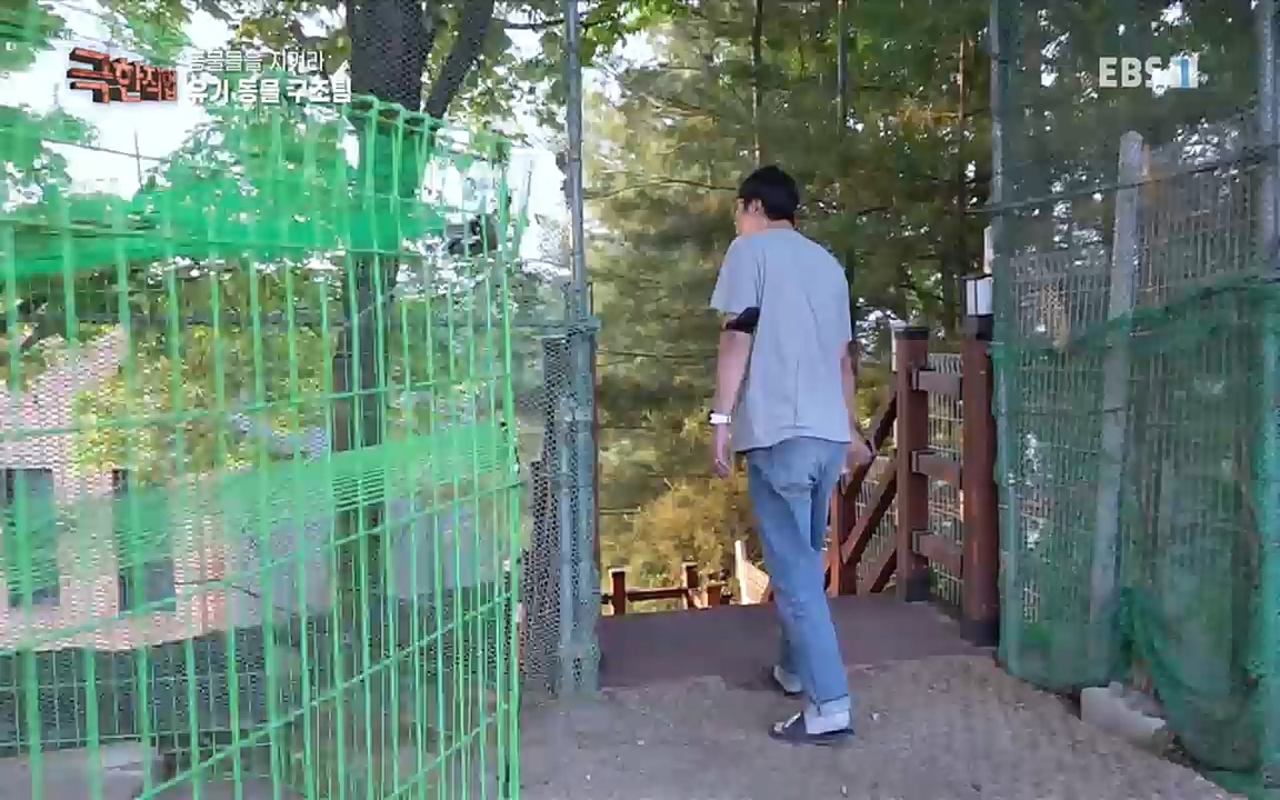 TV - 교육의 중심 EBS동물들을 지켜라, 수의사와 유기 동물 구조팀.mp4_20220913_200157.137.jpg