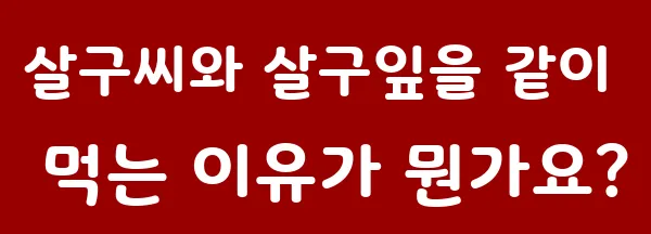 살구씨와 살구잎을 같이 먹는 이유가 뭔가요?