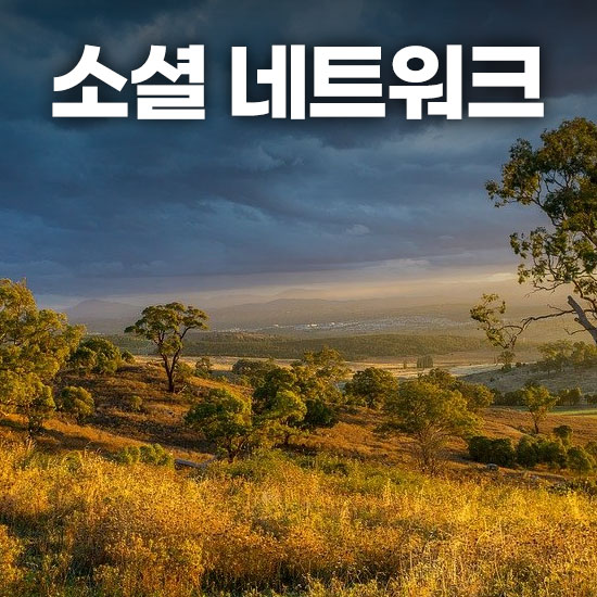 소셜 네트워크