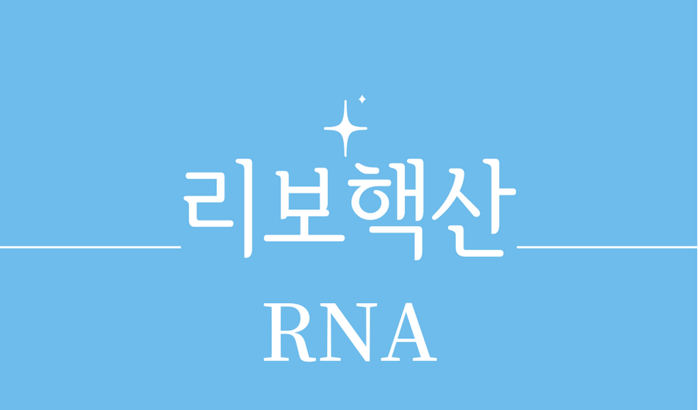 &#39;리보핵산(RNA)&#39;