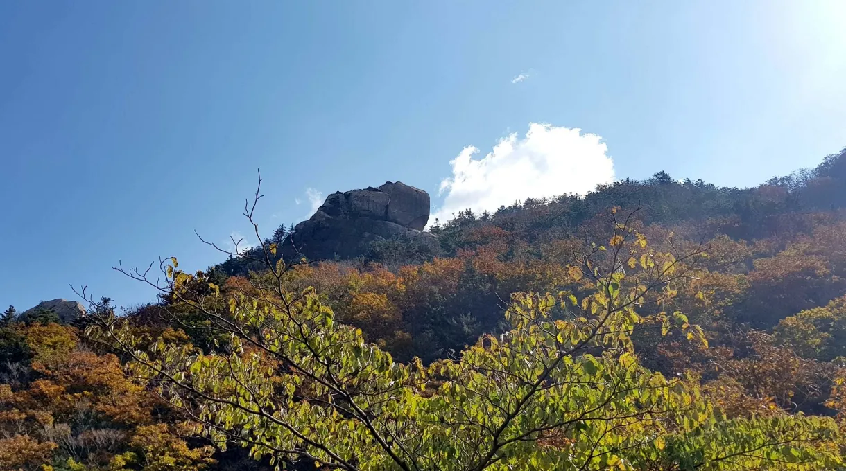 속리산 문장대 가을산 가을단풍