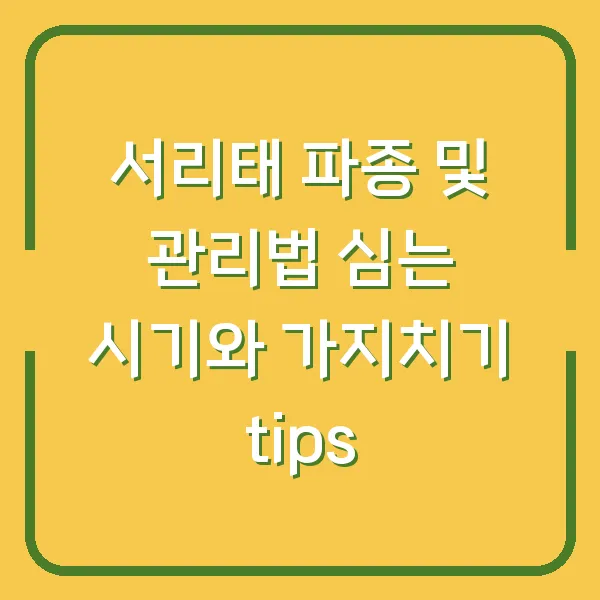 서리태 파종 및 관리법 심는 시기와 가지치기 tips
