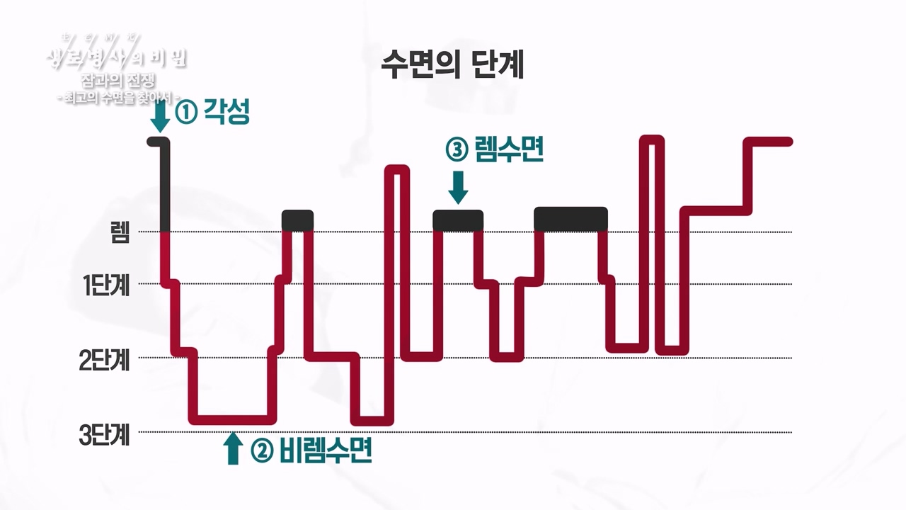 생로병사의 비밀.E880.230824p-NEXT.mp4_20230824_205219.290.jpg