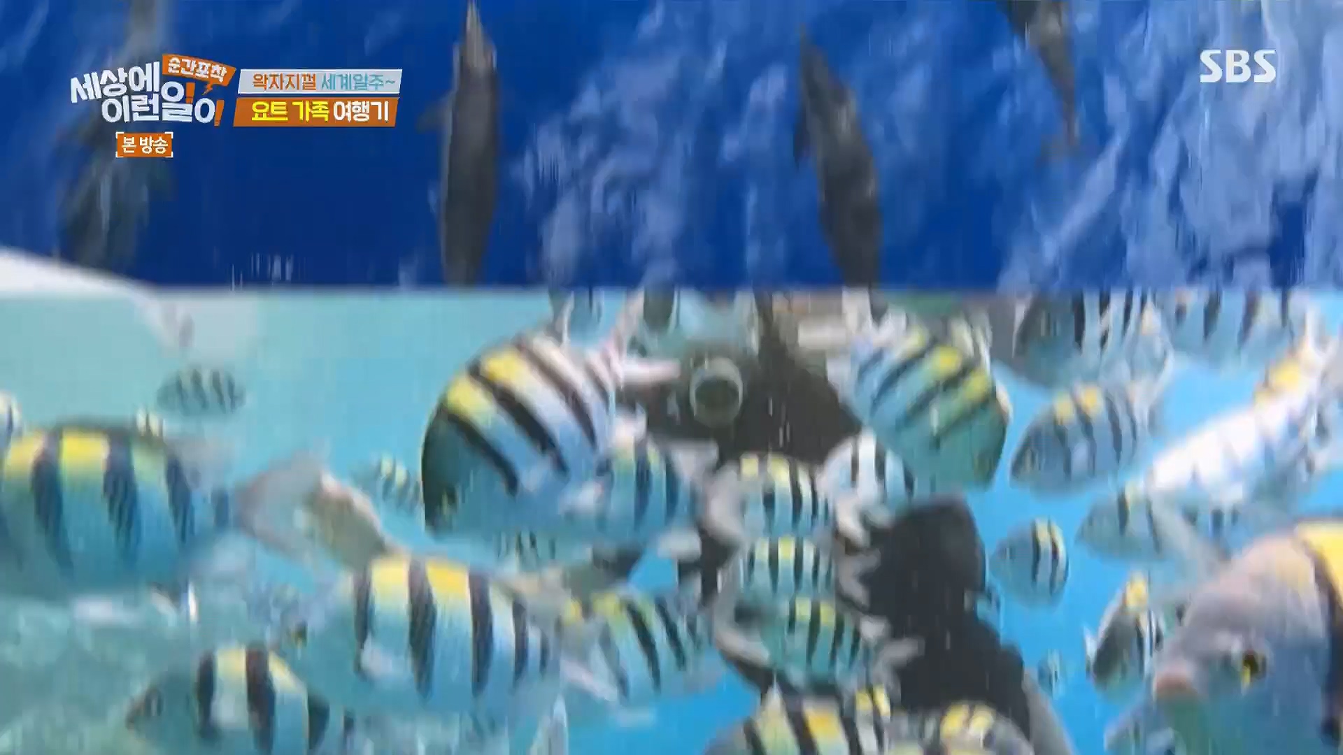 순간포착 세상에 이런일이.E1278.240518p.H264-F1RST.mp4_20240519_155546.304.jpg