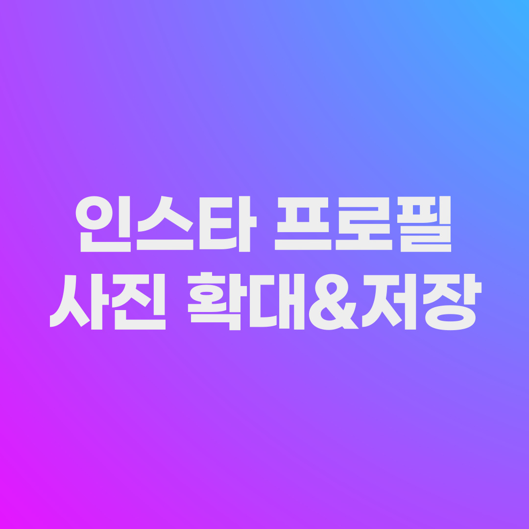 인스타 프사 확대 및 프로필 사진 저장