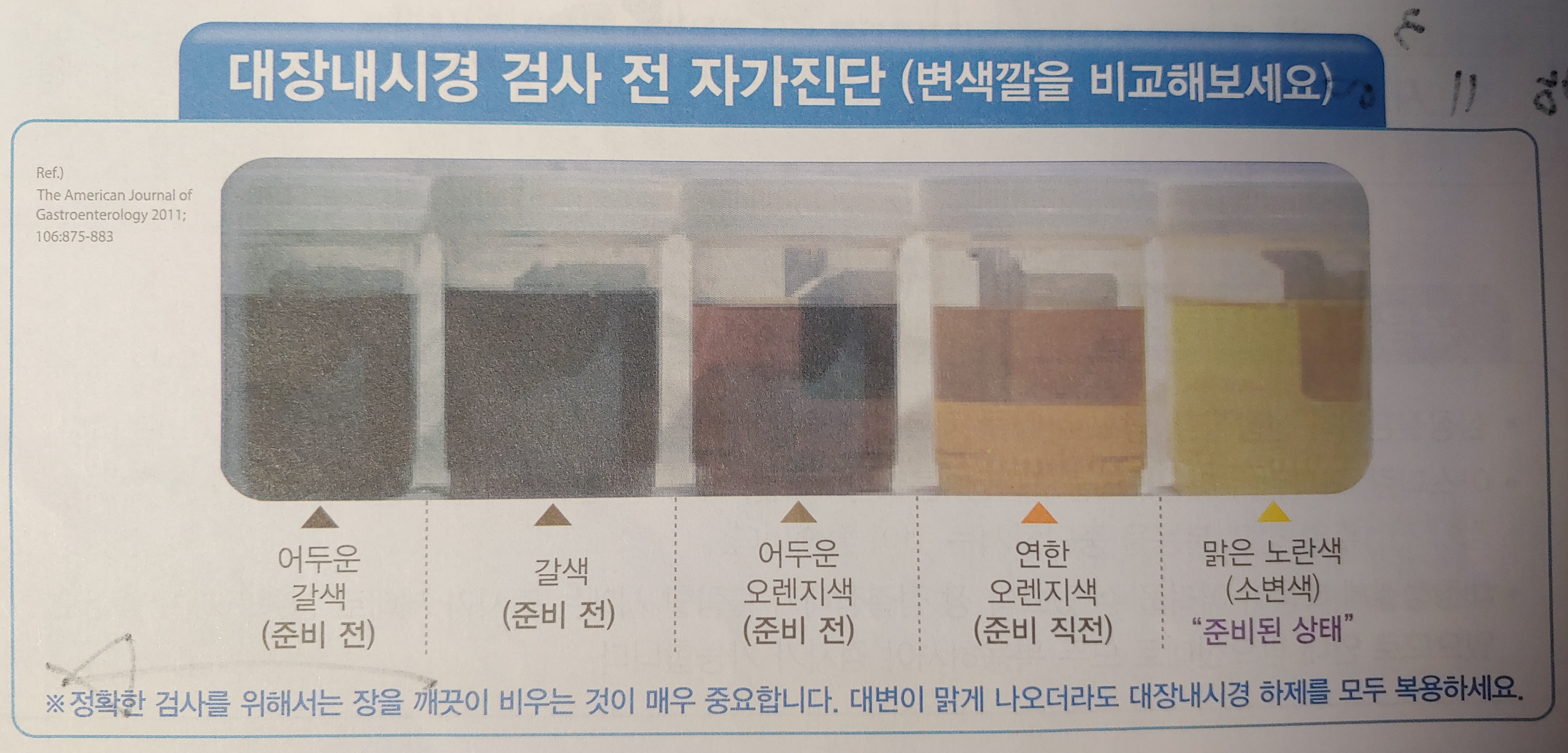 대장내시경 전 주의해야할 음식과 먹어도 되는 음식(+수클리어 약 복용법)