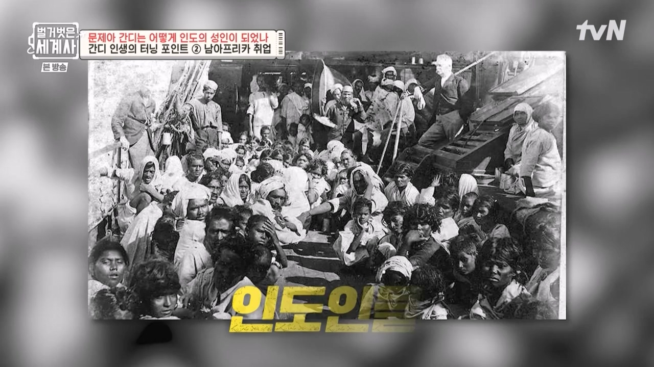 벌거벗은 세계사.E92.230329p-NEXT.mp4_20230425_203917.131.jpg