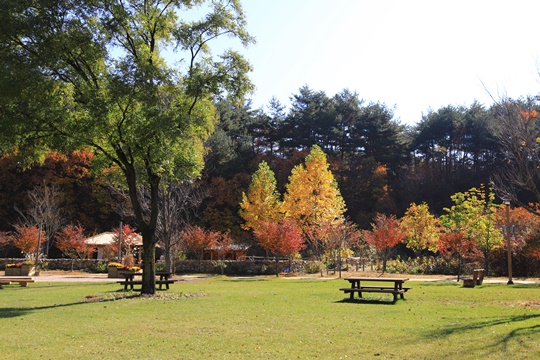 11월 늦가을 단풍명소&#44; 국내 여행지 등산코스 3곳 추천 명지산 내장산 백두대간식물원