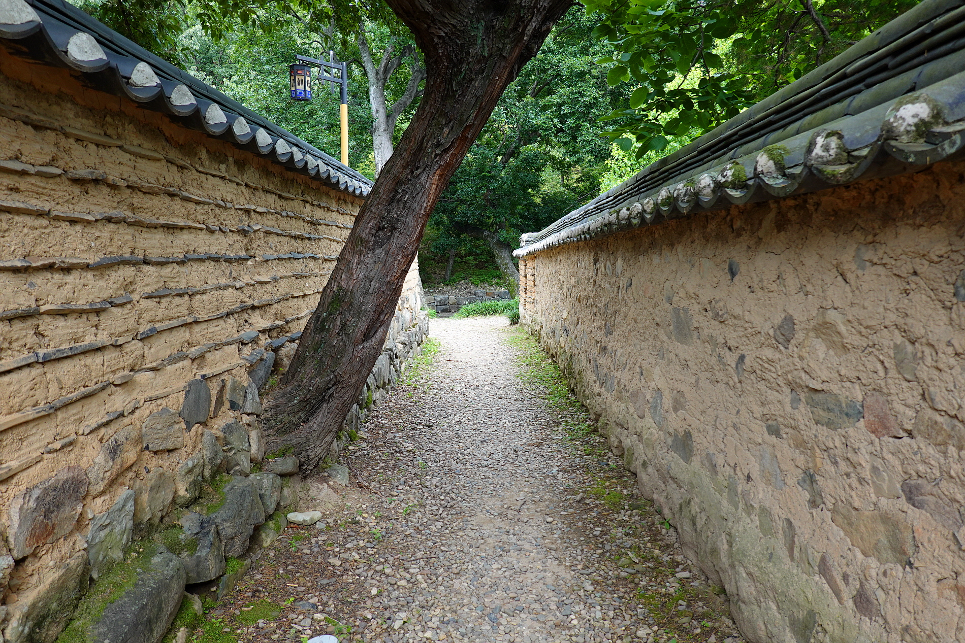 【2부】경주 안강_독락당과 옥산서원 그리고 세심대 '21.6.26