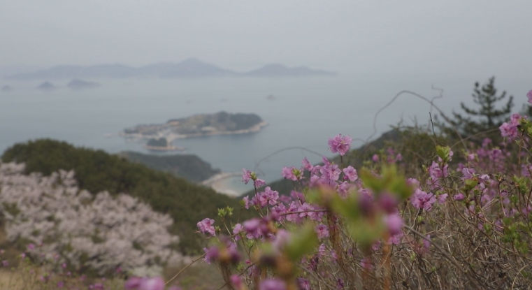 한국기행-거제-대금산-신광사스님-둔덕기성