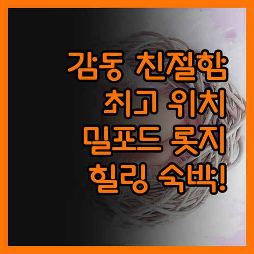 밀포드 사운드 롯지 숙박 후기! 친절