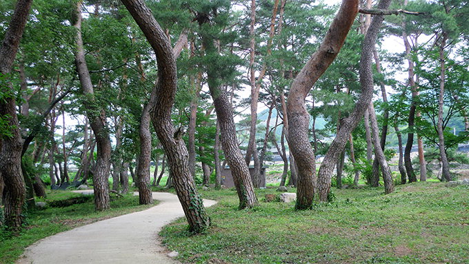 숲옛마을 이미지