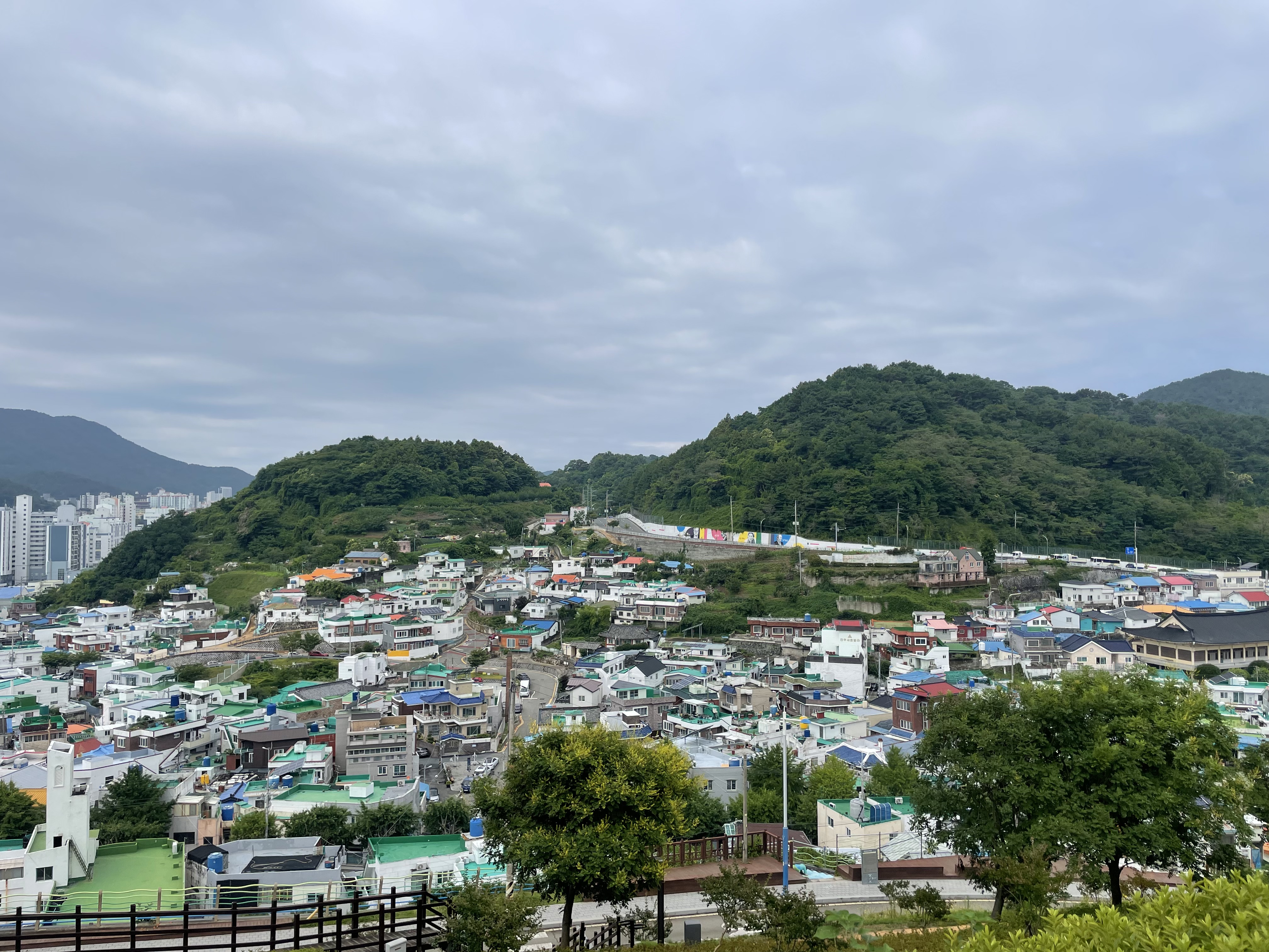 김선생충무김밥 사진 3
