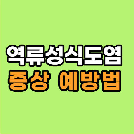  역류성 식도염 증상 역류성 식도염에 좋은 음식
