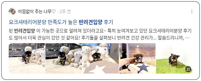 반려견 입양_3_subsection