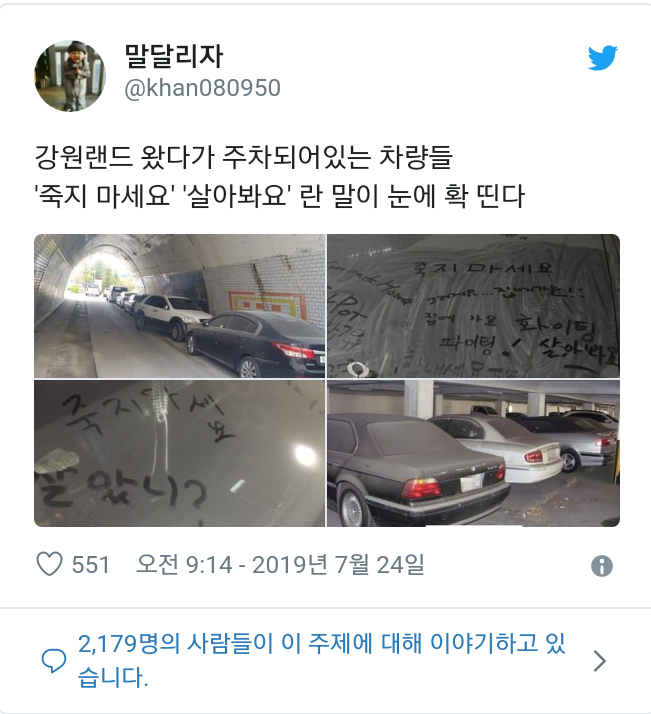  강원랜드에 주차되어 있는 차량들