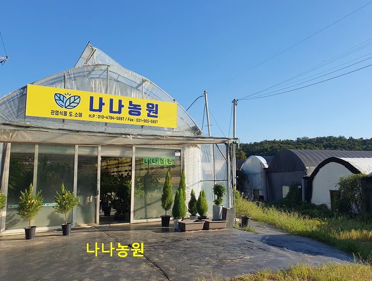 나나농원