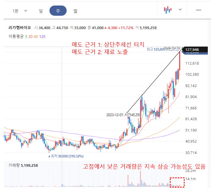 리가켐바이오 주봉 차트