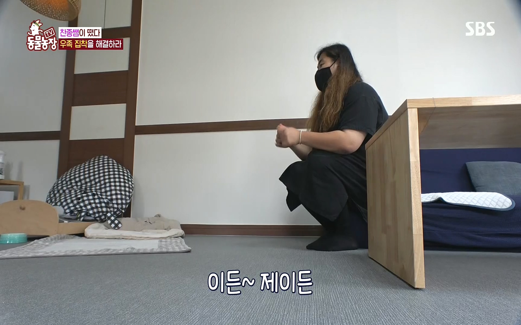 TV 동물농장.E1088.220925p.H264-F1RST.mp4_20220925_174355.259.jpg