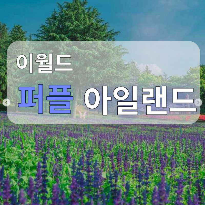 이월드 퍼플 아일랜드