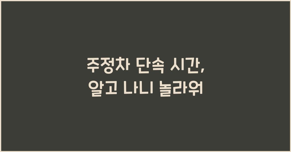 주정차 단속 시간