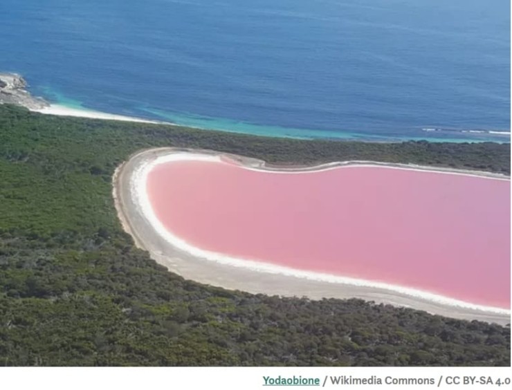 시베리아의 핑크빛 소금 호수 VIDEO: Train Travels Across Stunning Pink Salt Lake l 세계의 핑크빛 호수 10 Naturally Pink Lakes