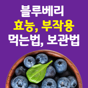 눈에 좋은 음식 블루베리 효능 먹는 3