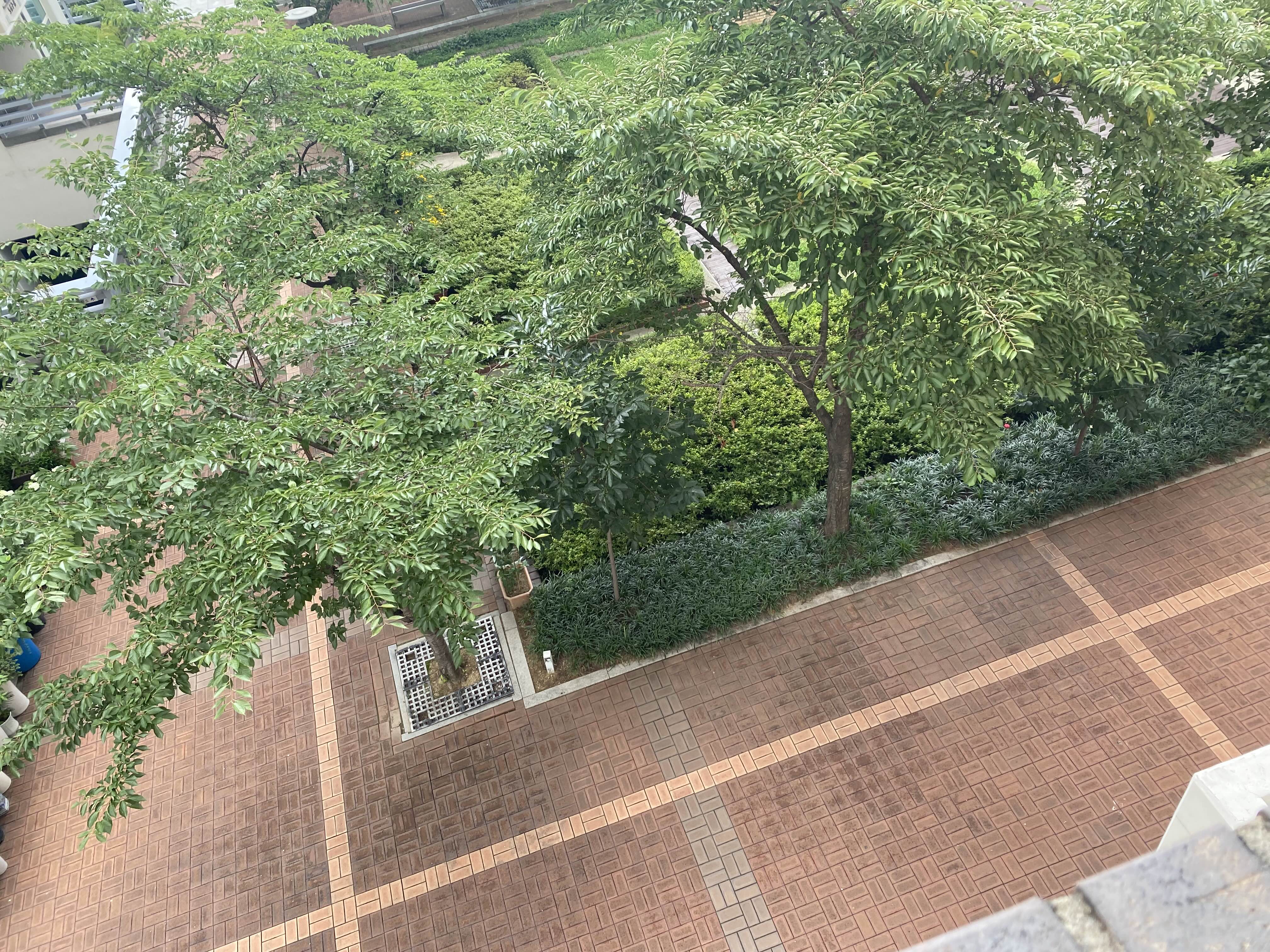  스텔스 안테나 최종 실패! 이유 몇가지