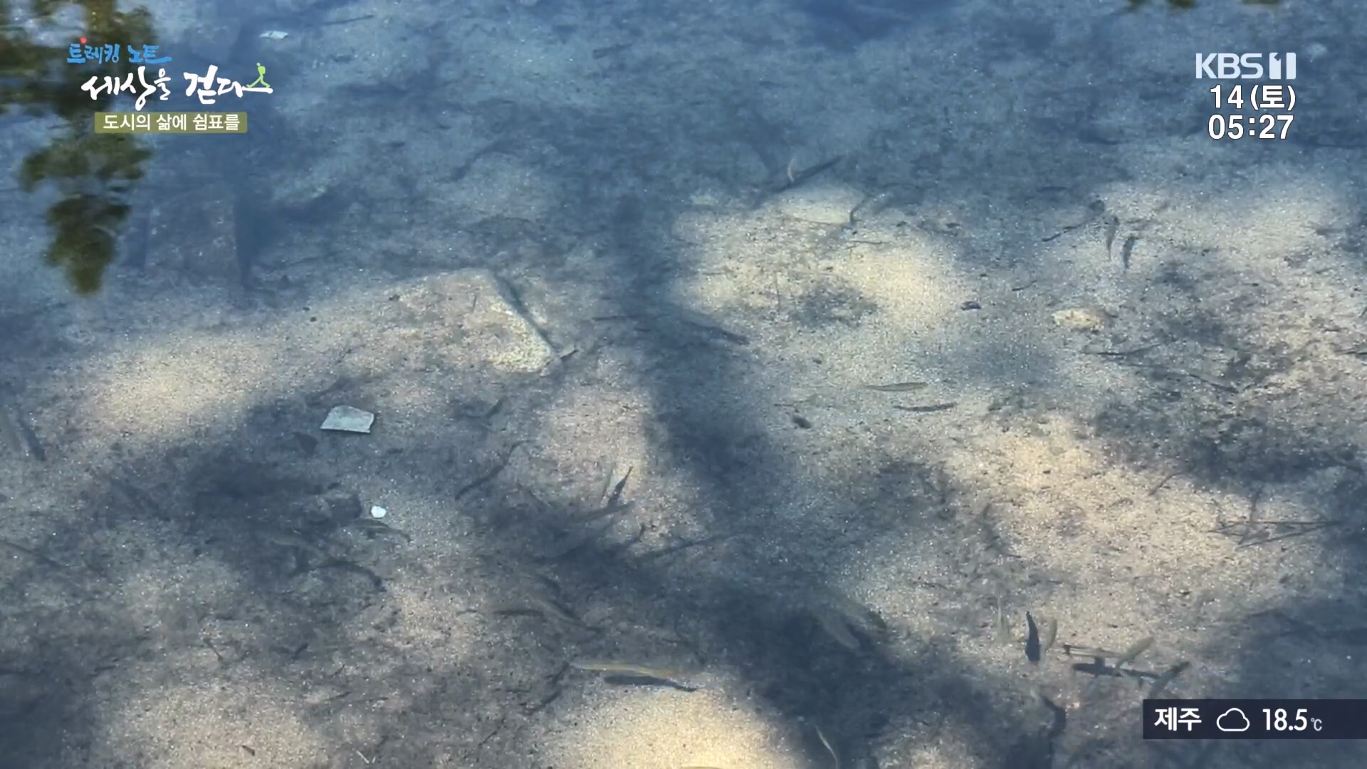 트레킹노트 세상을 걷다.E290.231014p.H264-F1RST.mp4_20231014_180006.882.jpg