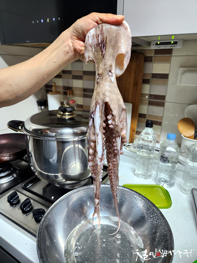능이야오리야 이미지