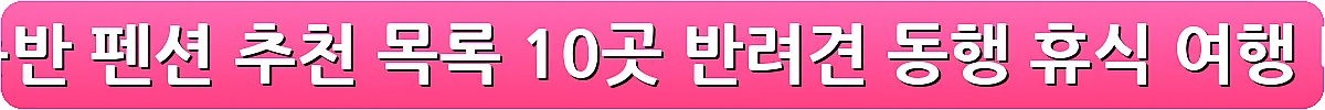 전국 애견동반 펜션 추천 목록 10곳 반려견 동행 휴식 여행_10