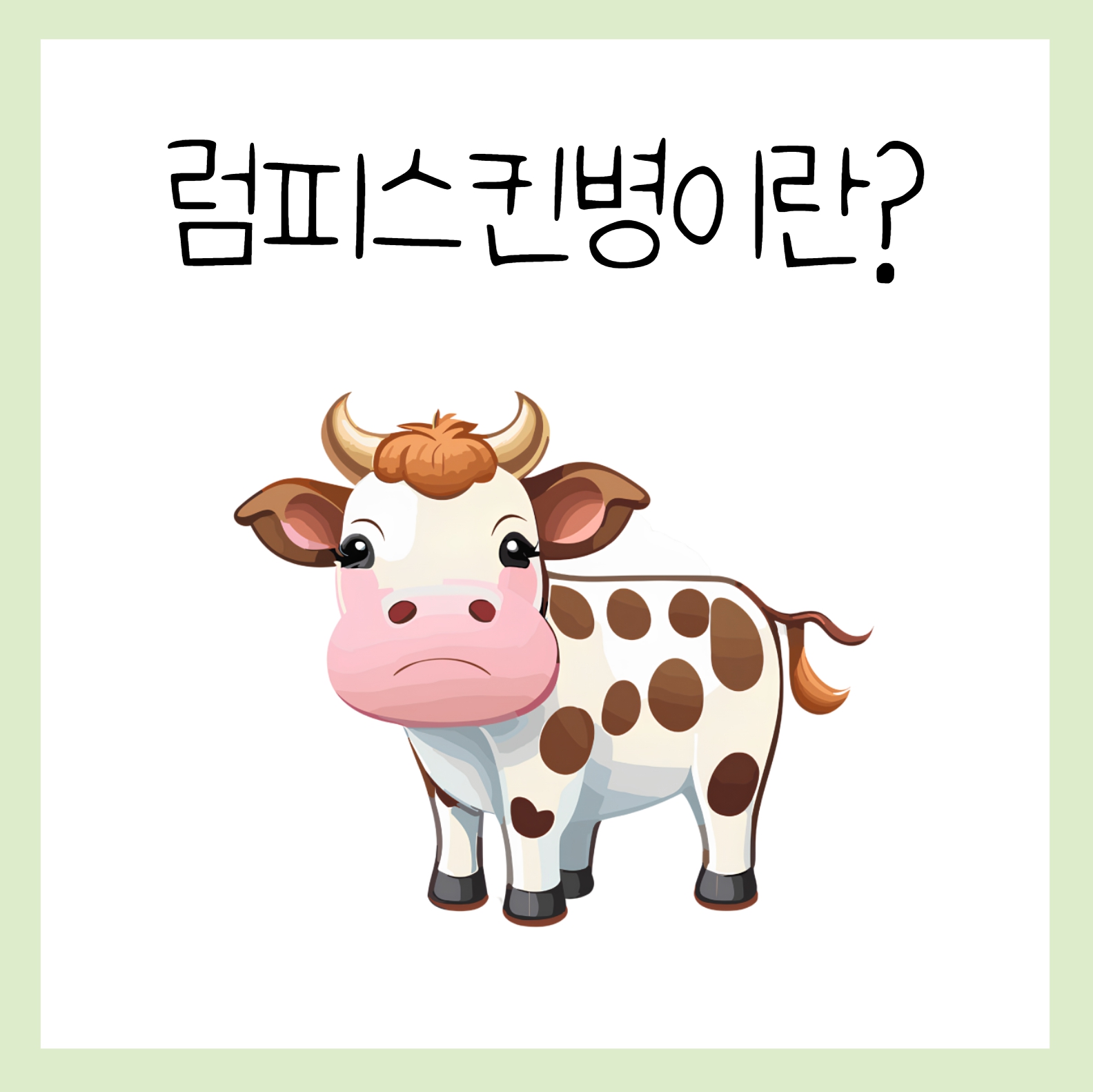 럼피스킨병이란? 사람에 감염