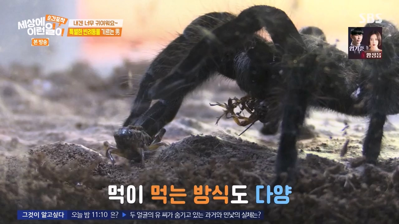순간포착 세상에 이런일이.E1269.240317p-NEXT.mp4_20240317_163614.079.jpg