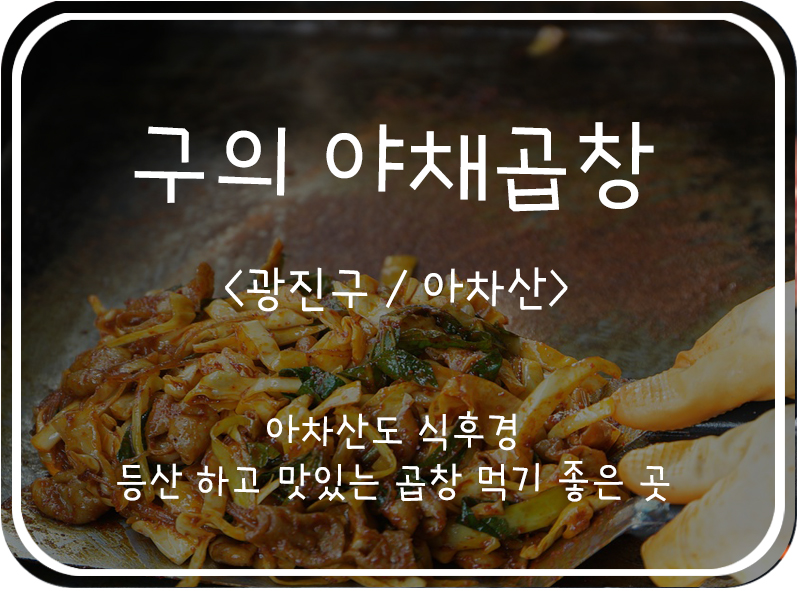  [광진구/아차산] 아차산 잡내 없이 푸짐한 야채곱창 맛집, 구의 야채곱창