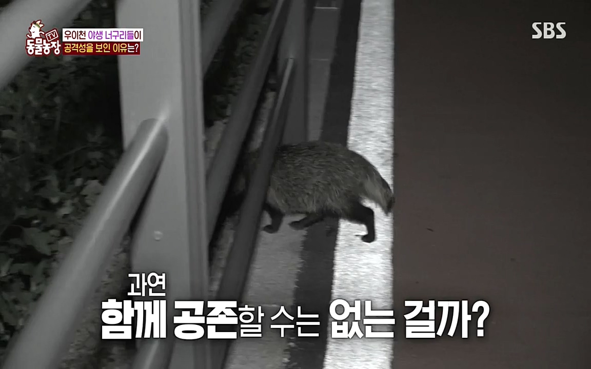 TV 동물농장.E1080.220732p-NEXT.mp4_20220731_174217.618.jpg